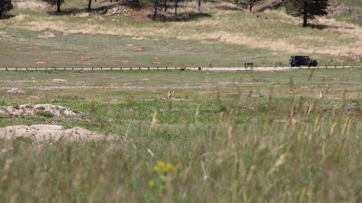Prairie Dog Town
